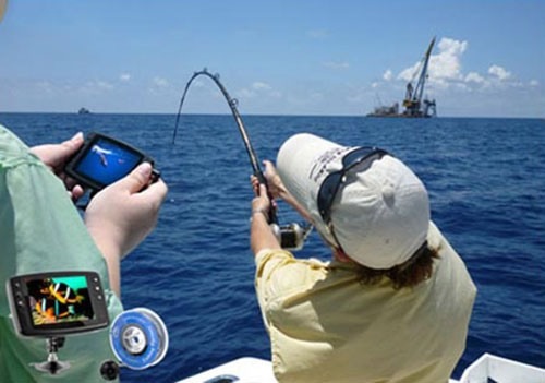 С помощью рыболовной видеокамеры "FishCam-501" можно ловить рыбу и исследовать подводный мир